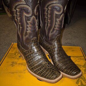 R Watson Golden Chocolate Belly Caiman